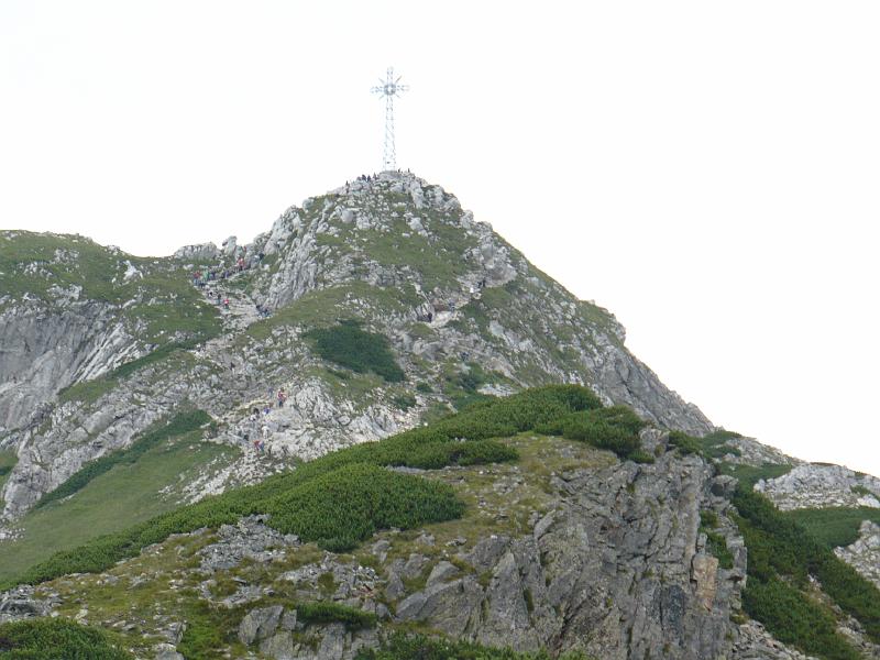 P1000994.JPG